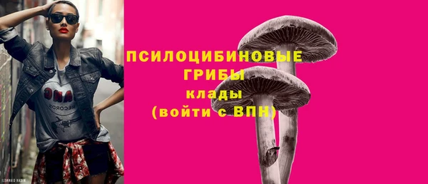 дмт Абинск