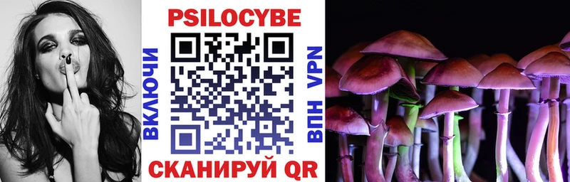 KRAKEN как войти  Абаза  Галлюциногенные грибы Cubensis 